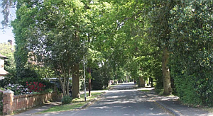 Frog Hall Drive